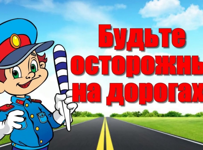 Правила дорожного движения — закон для всех!